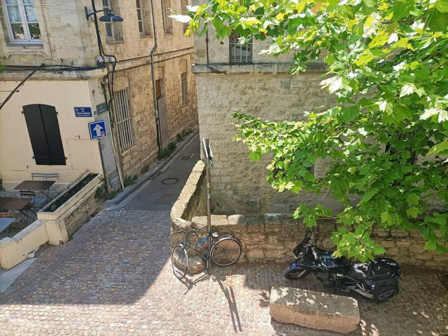 En Hyper Centre La Clef Des Chants * Avignon